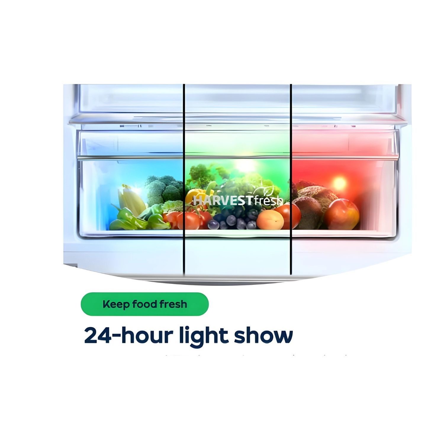 Beko 254 Litre 50/50 Integrated Fridge Freezer - Image 3
