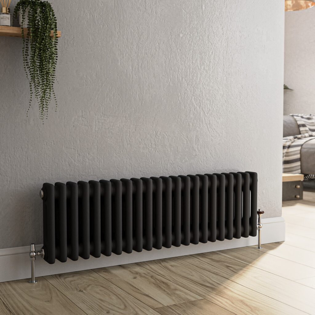 Reggio Midnight Black Horizontal Double Column Traditional Radiator ...